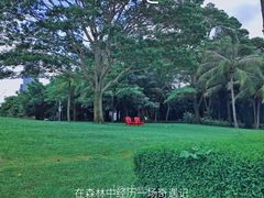 -深圳湾公园(南山区)