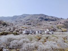 -福建天门山