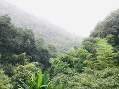 -韬光茶庵