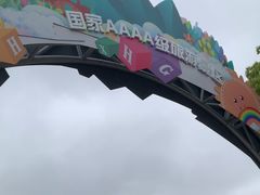 -上海鲜花港