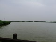 -西青郊野公园