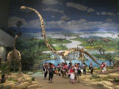 -自贡恐龙博物馆
