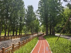 -棒棰岛宾馆景区
