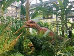 -国家植物园南园