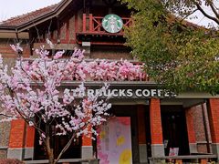 -星巴克臻选(思南公馆店)
