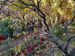 -香山公园-东宫门售票处