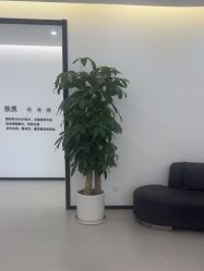 -医方嘉明医疗美容