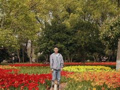 -上海鲜花港