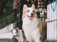 -豆舞咖啡(民乐路店)