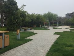 -唐城墙遗址公园