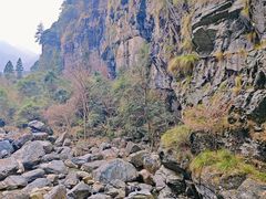 -石台牯牛降景区