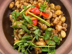 -五谷芳乳鸽王(梅沙老店)