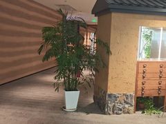 -大视光学•LINDBERG林德伯格•全球手工眼镜集合店(王府井店)