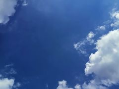 -上海月湖雕塑公园