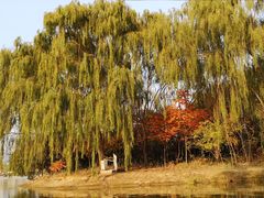 -大兴滨河森林公园