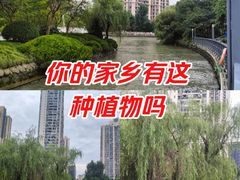 -苏州河梦清园环保主题公园