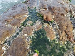 -碧桂园十里银滩