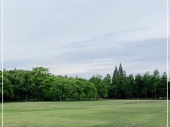 -上海滨江森林公园