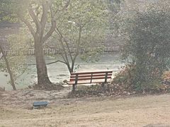 -上海滨江森林公园