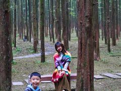 -山王坪喀斯特国家生态公园