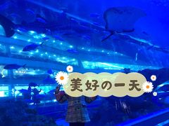 -成都浩海立方海洋公园