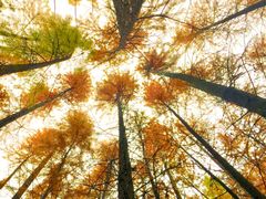 -大唐眼镜(永安路店)