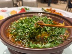 藤椒藿香吊龙-马旺子酒楼