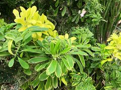 -南宫五洲植物乐园