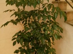 -乐享养生(东湖店)