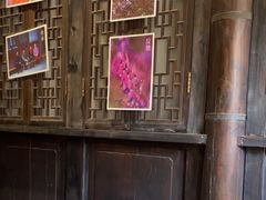 -古今茶语·峨眉山有机茶体验馆