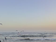 -老虎石海上公园