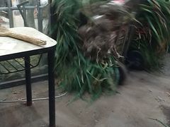 -果乐多生鲜超市(宏业广场店)