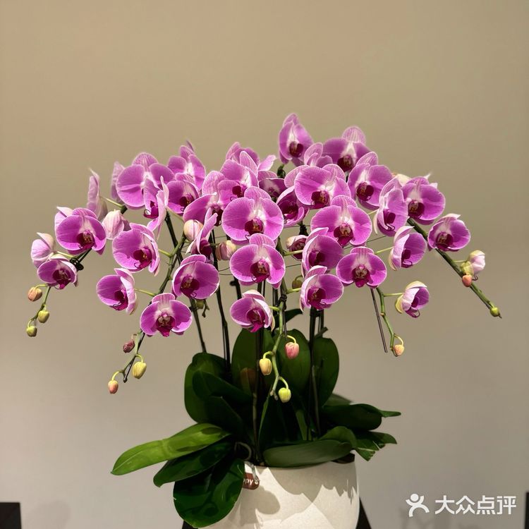 “壹宴”上头，没有理由[加油][加油]