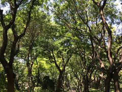 -玲珑塔公园
