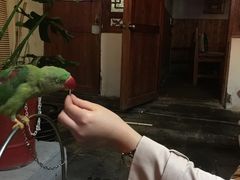 -丽江庭院之丽江往事(安定门店)