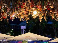 -成都娃娃花园餐厅 (南艺旗舰店)