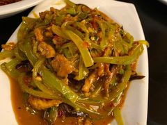 -陈麻婆豆腐总店