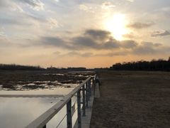 -潇河湿地公园