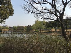 -新江湾城公园