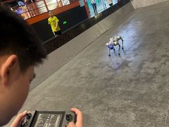-极限PLAY运动娱乐新世界·团建派对潮玩休闲馆·室内蹦极高空游乐园