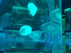 -石林冰雪海洋世界