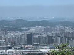 -紫金山山顶公园
