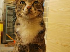 -酒友老火锅(渝中店)