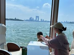 -金鸡湖桃花岛