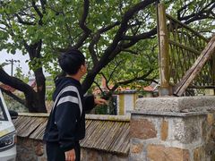 -里口山风景名胜区