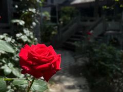 -大妙火锅·非物质文化遗产(东湖公园店)