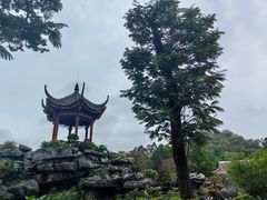 -顺峰山公园