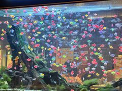 -大江户·温泉洗浴(浑南店)