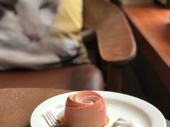 -咖法森林·咖啡  酒吧(天河店)