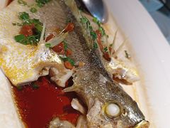 -维园悦谱·海派家常菜(乌鲁木齐南路店)